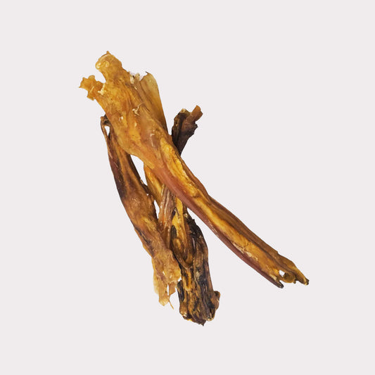 Achilles Tendon