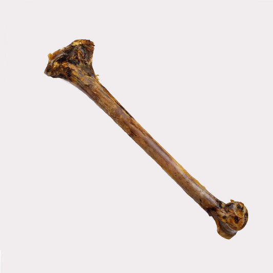 Large Ostrich Leg Bones - 45cm