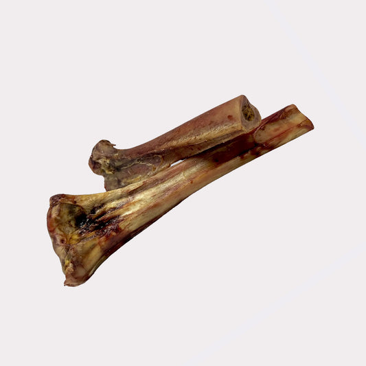 Ostrich Leg Bones - 30cm