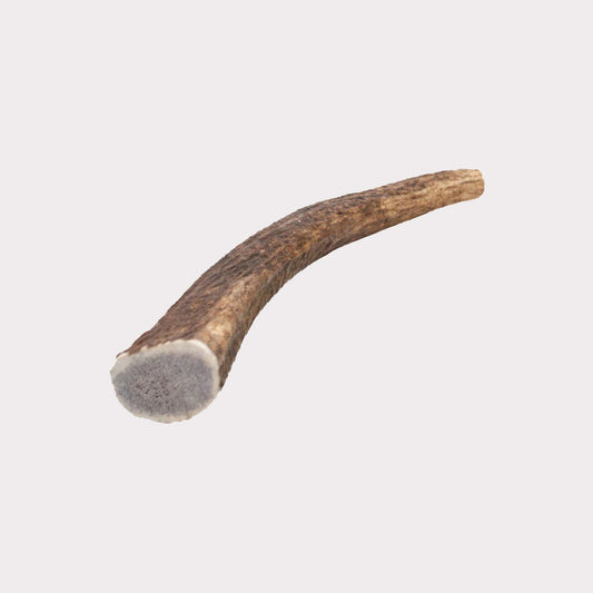 Antlers