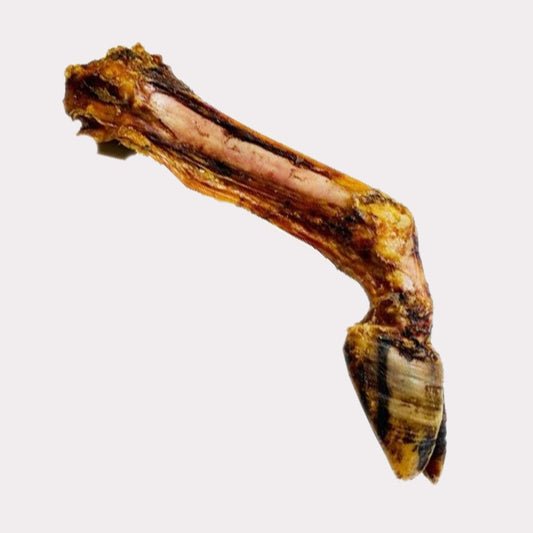 Cow Leg