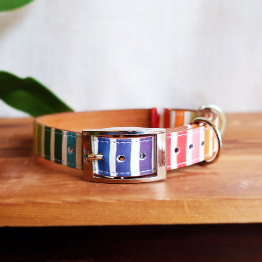 Rainbow Leather Dog Collar