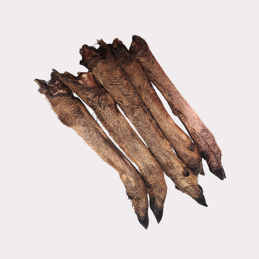 Small Venison Legs - Hairy & Hairless