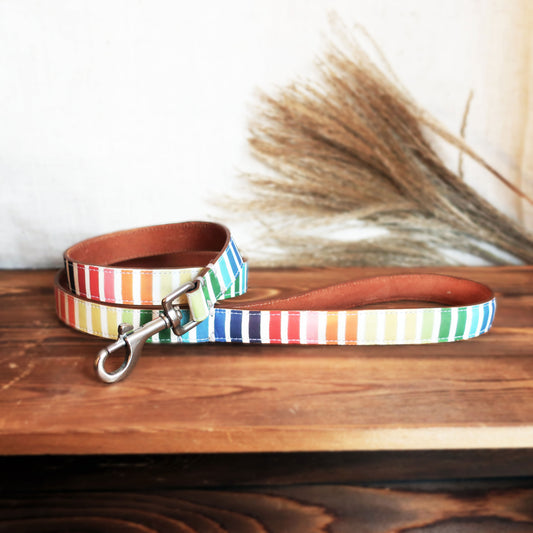 Rainbow Leather Dog Lead