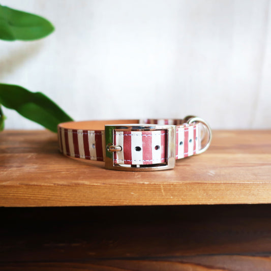 Red Stripe Leather Dog Collar