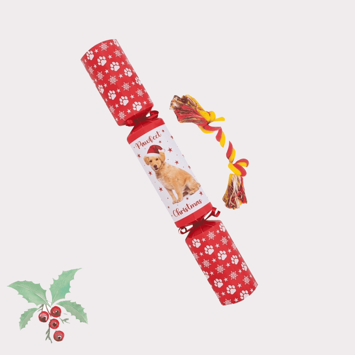 Doggy Christmas Cracker