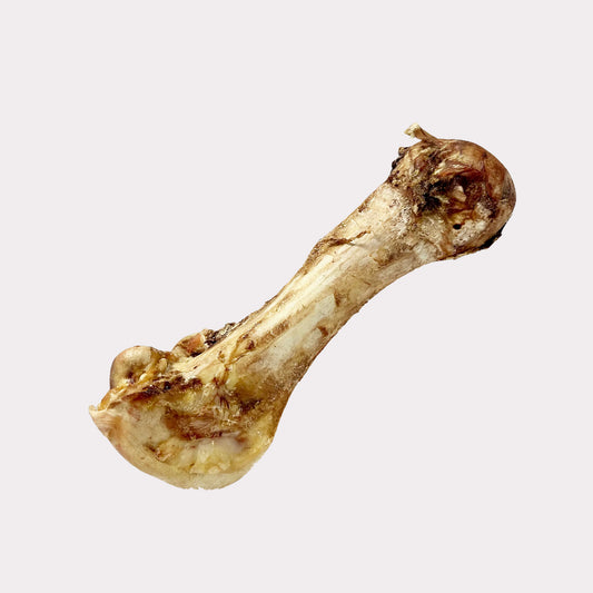Ostrich Bone - Huge & Medium