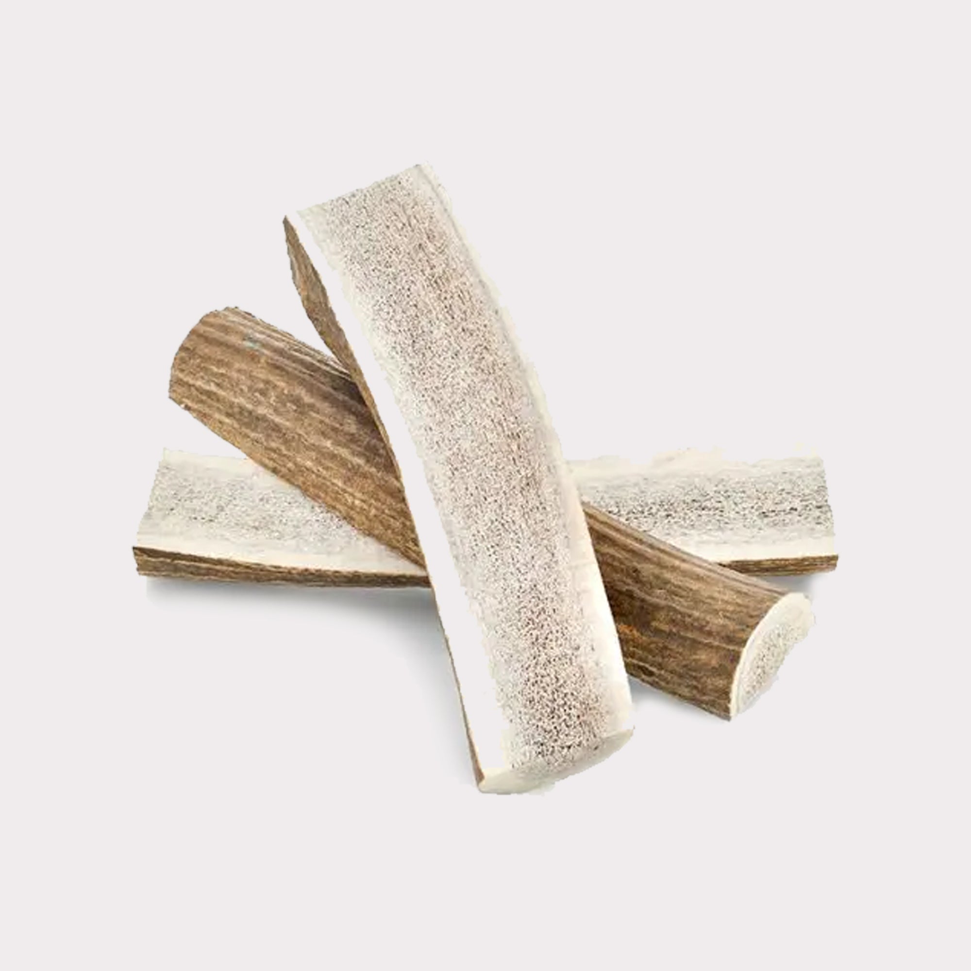 Paws & co antler hot sale chews