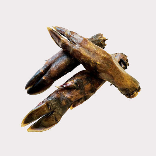 Wild Boar Legs