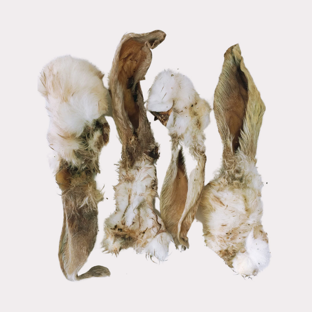 Ear Of A Rabbit Rabbit Ears – Inky Paws