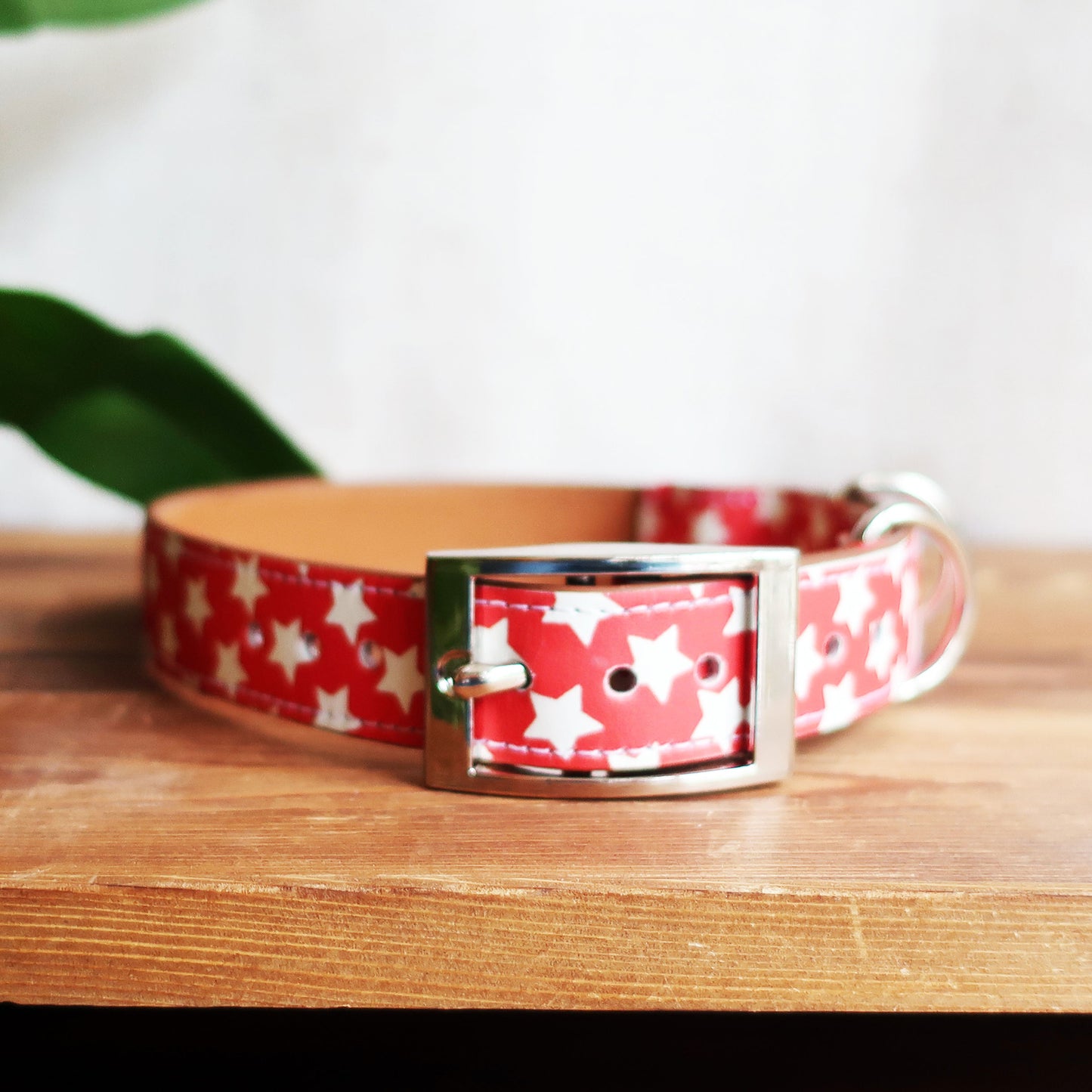 Red Star Leather Dog Collar